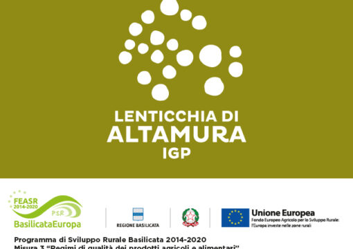 IL CONSORZIO SI CANDIDA ALLA MISURA 3.2 DELLA REGIONE BASILICATA