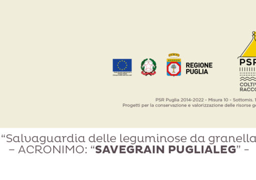 RIPARTE IL CICLO D’INCONTRI SULLA TUTELA E SALVAGUARDIA DELLE LEGUMINOSE DA GRANELLA IN PUGLIA