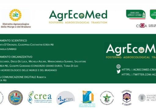 Il Consorzio ad AgrEcoMed 2026: agroecologia, politiche e nuove prospettive per la filiera
